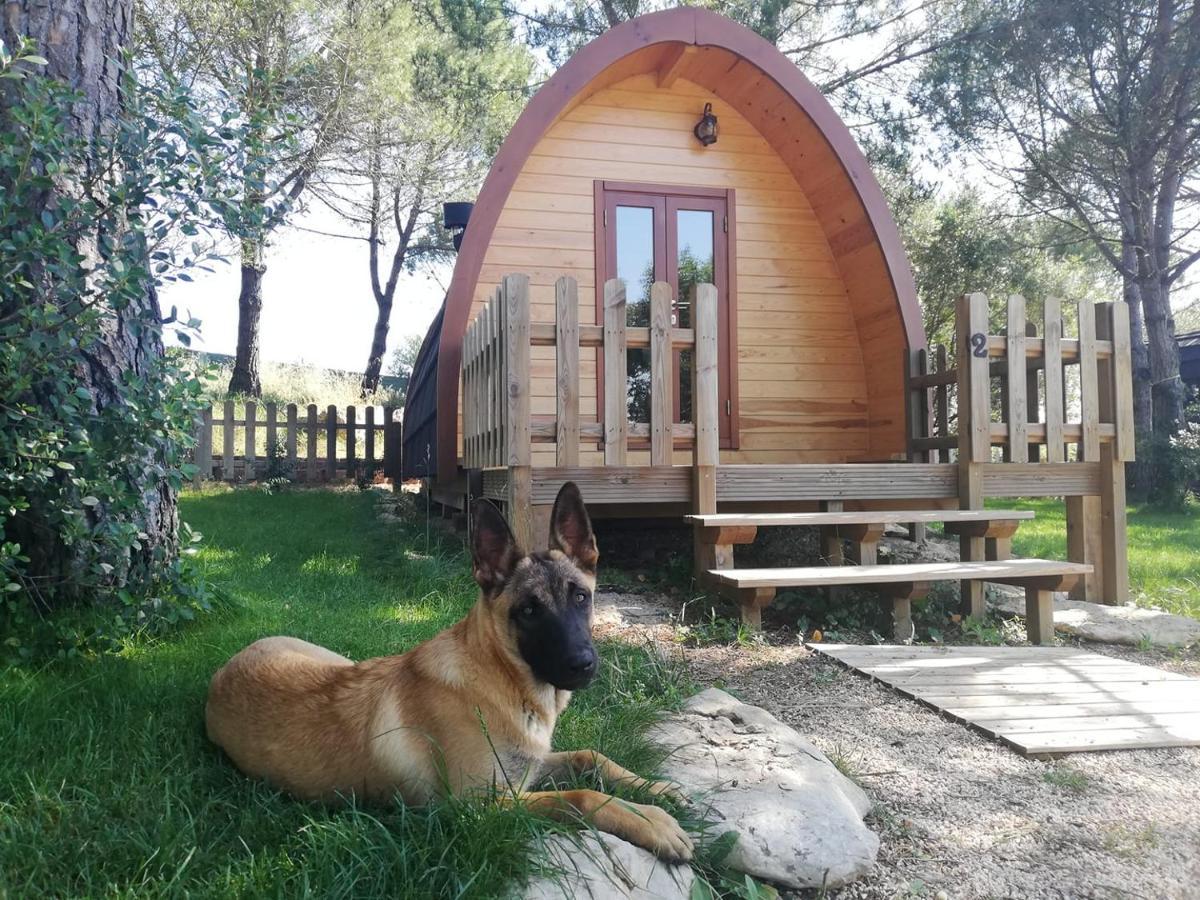 Hotel Glamping Sintra Zewnętrze zdjęcie